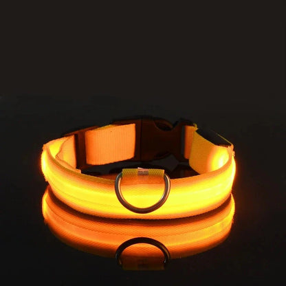 GlowBuddy – LED Halsband voor Honden