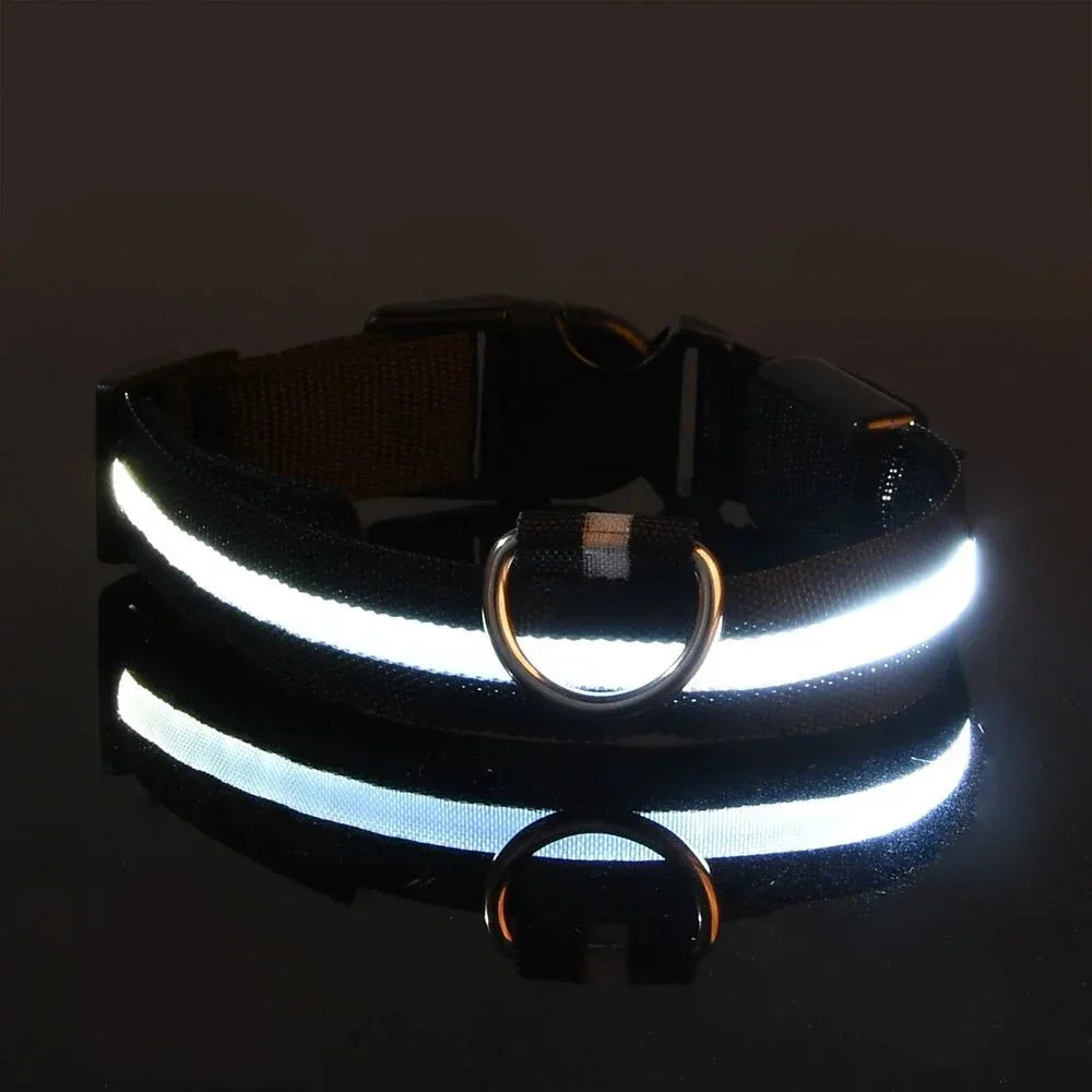 GlowBuddy – LED Halsband voor Honden