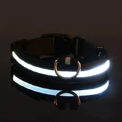 GlowBuddy – LED Halsband voor Honden