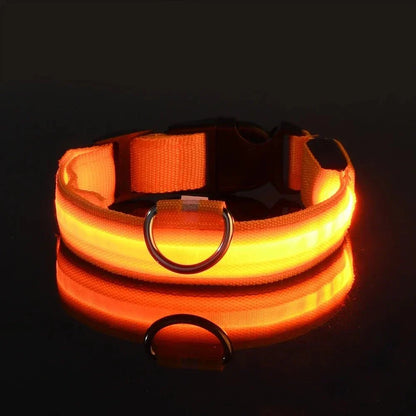 GlowBuddy – LED Halsband voor Honden