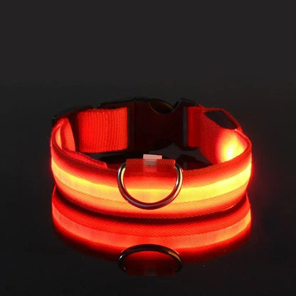 GlowBuddy – LED Halsband voor Honden