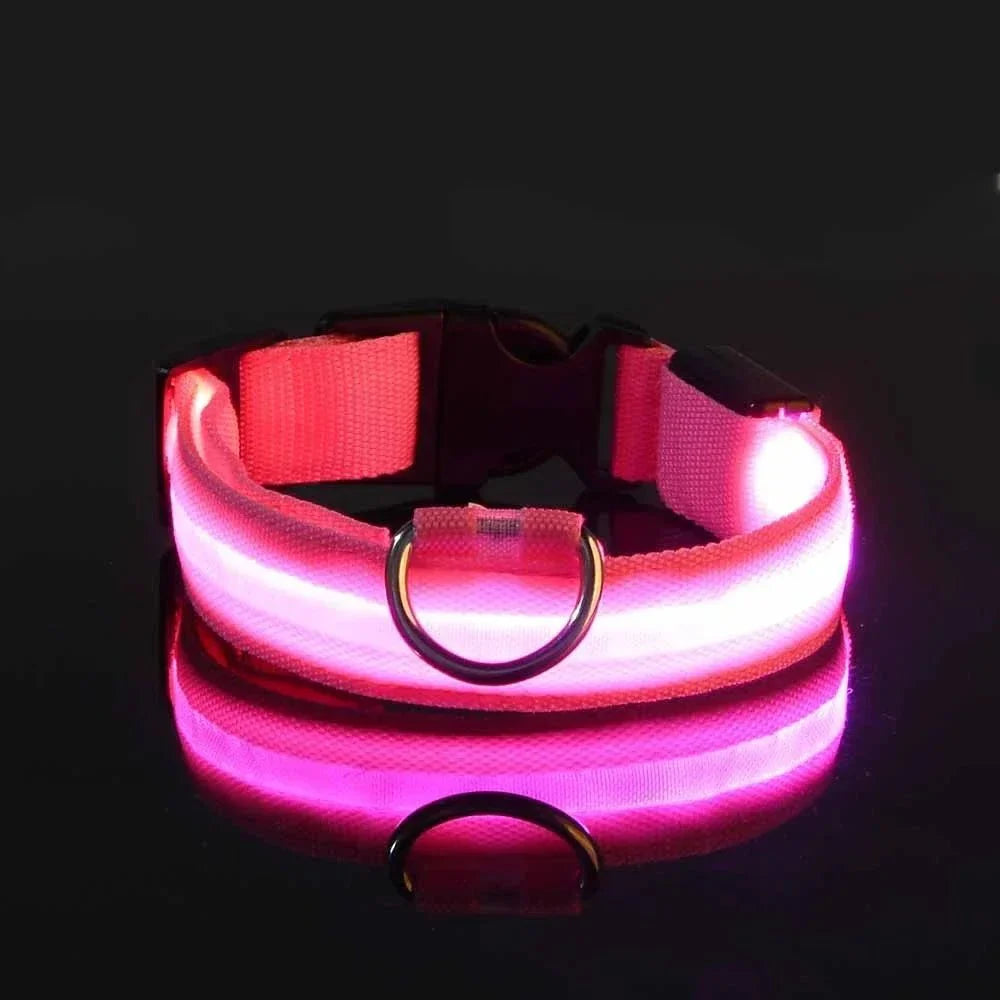 GlowBuddy – LED Halsband voor Honden