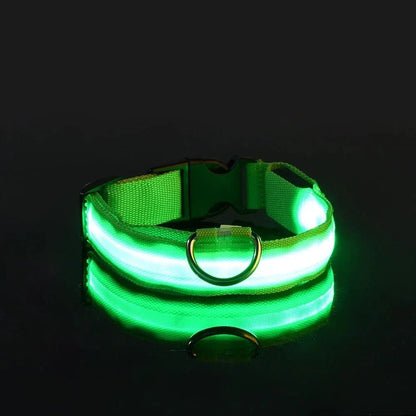 GlowBuddy – LED Halsband voor Honden