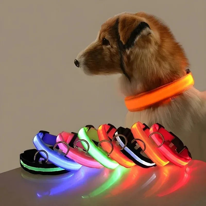 GlowBuddy – LED Halsband voor Honden