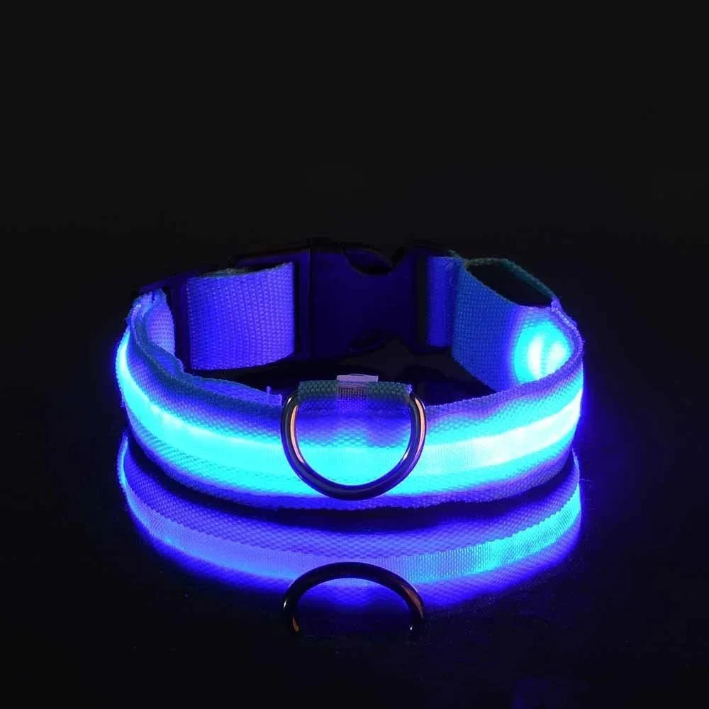 GlowBuddy – LED Halsband voor Honden