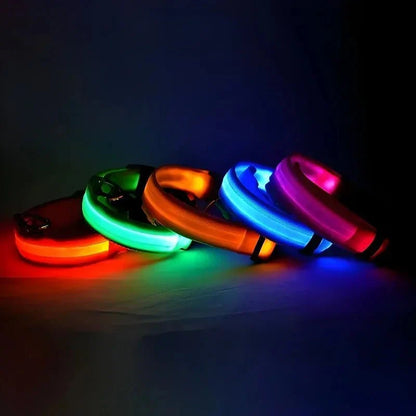 GlowBuddy – LED Halsband voor Honden