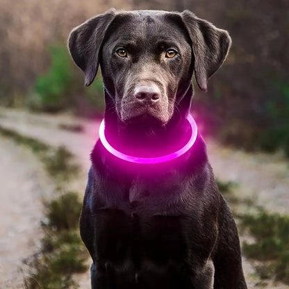 GlowPaws LED Halsband Oplaadbaar