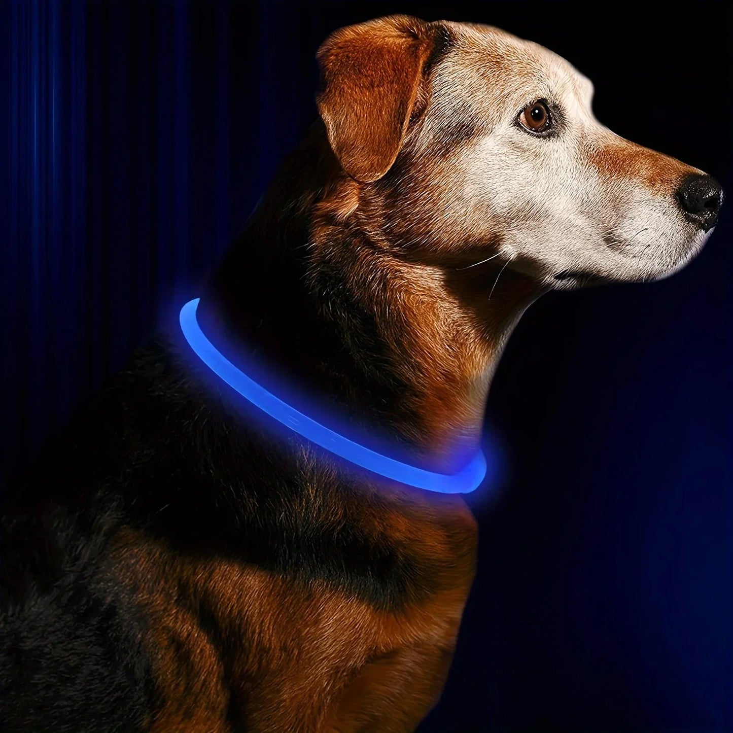 GlowPaws LED Halsband Oplaadbaar