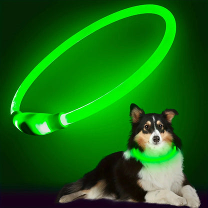 GlowPaws LED Halsband Oplaadbaar