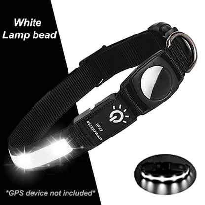 GlowTrack – LED GPS Halsband