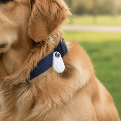 GPS Tracker Mini – Slimme Draadloze Tracker