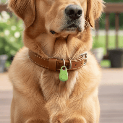 GPS Tracker Mini – Slimme Draadloze Tracker