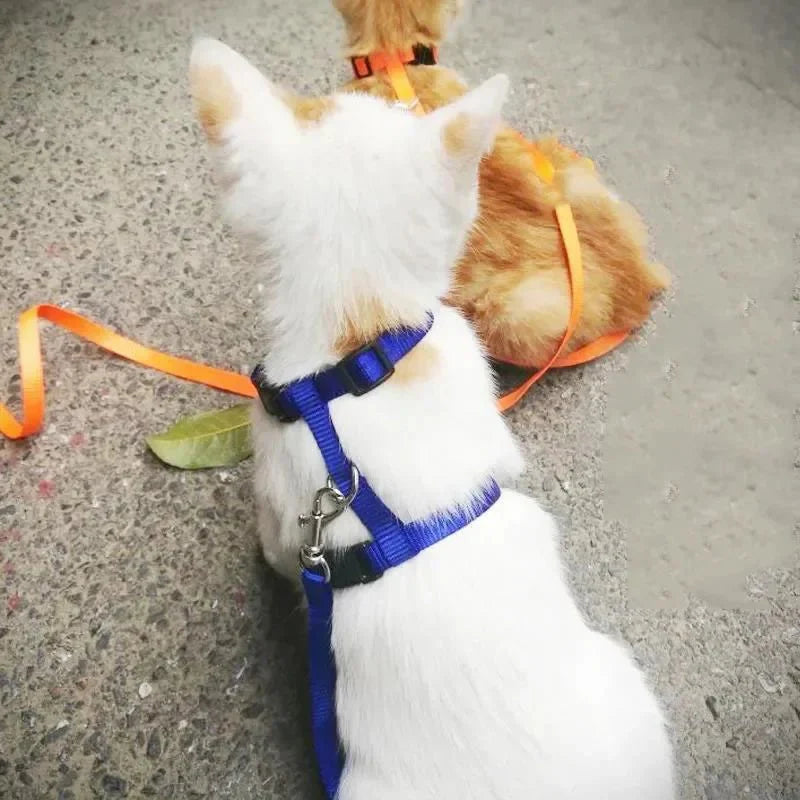 H-vorm Tuigje met Looplijn