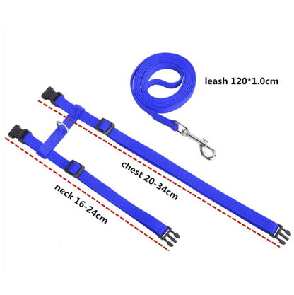 H-vorm Tuigje met Looplijn