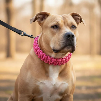 PawWeave Hondenhalsband Verstelbaar – Sterke Nylon Halsband Hond voor Training & Wandelingen