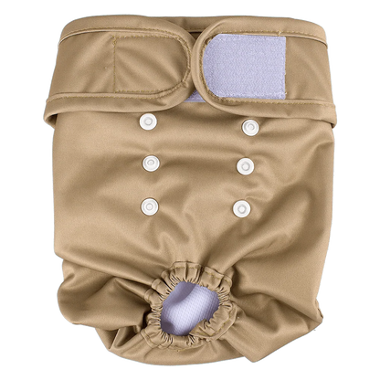 Herbruikbare Hondenluier voor Teefjes