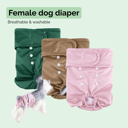 Herbruikbare Hondenluier voor Teefjes