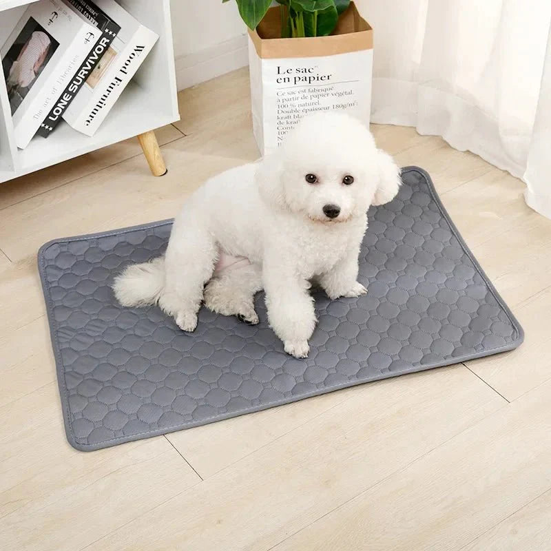 Herbruikbare Hondenplasmat – Wasbare Puppy Training Pad