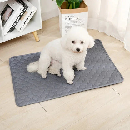 Herbruikbare Hondenplasmat – Wasbare Puppy Training Pad