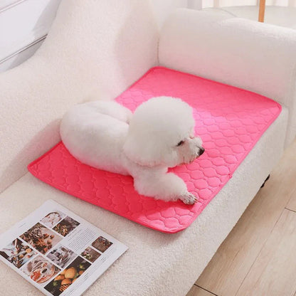 Herbruikbare Hondenplasmat – Wasbare Puppy Training Pad