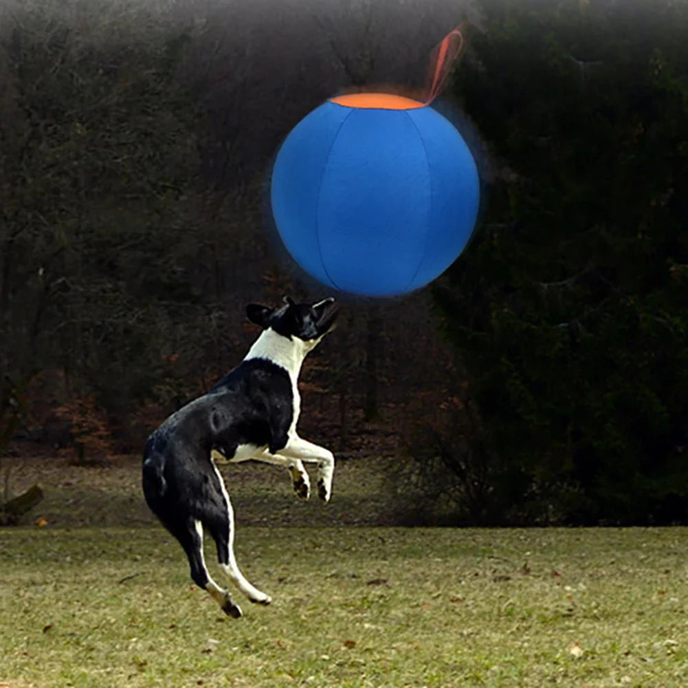 HerdMaster - Opblaasbare Herderbal