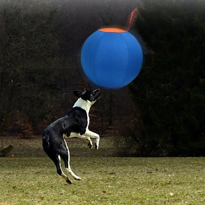 HerdMaster - Opblaasbare Herderbal