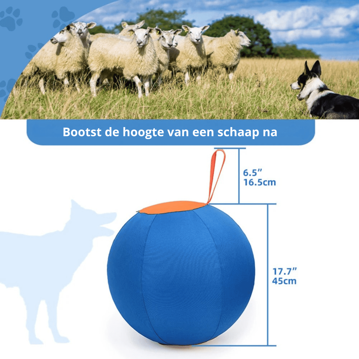 HerdMaster - Opblaasbare Herderbal