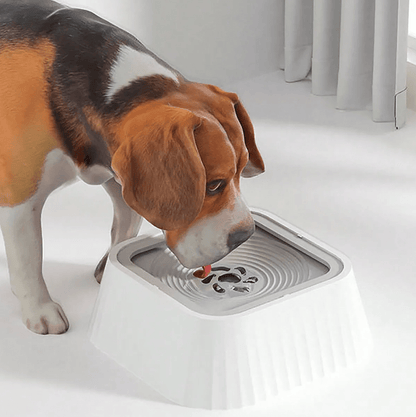 Honden Drinkbak - Anti-mors Waterdispenser