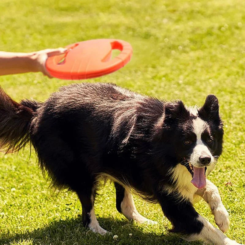 Honden Frisbee Speelgoed