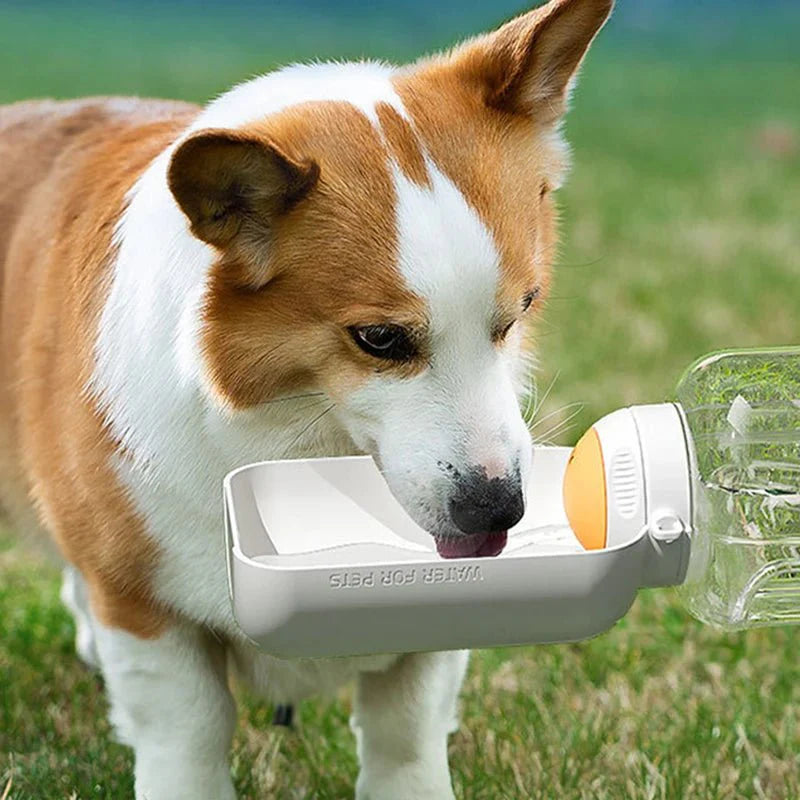 Honden Waterfles met Drinkbak