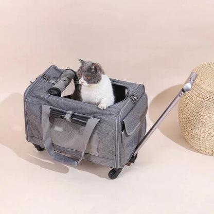 Hondenbuggy & Hondenkar – Opvouwbare Kinderwagen voor Huisdieren