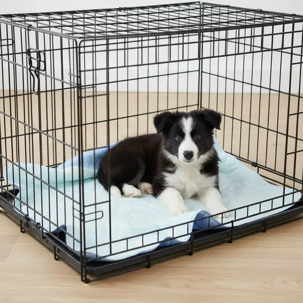 Hondendeken Incontinentie – Hoogabsorberende Wasbare Onderlegger Blauw