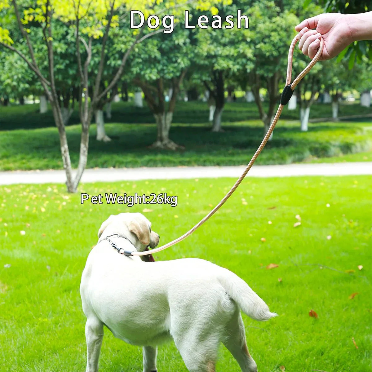 Hondenriem Easy Control