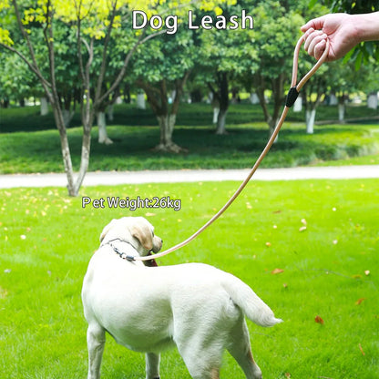 Hondenriem Easy Control