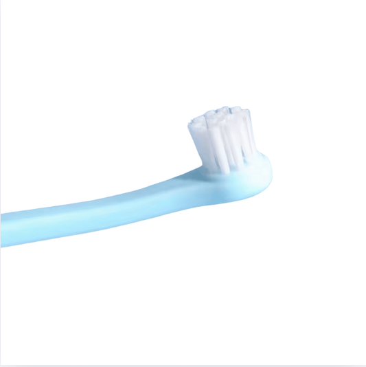 Hondentandenborstel met Kleine Borstelkop