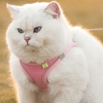 Hondentuig Ademend Hondenharnas – Verstelbaar Tuigje Voor Katten & Honden