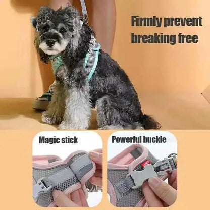 Hondentuig Ademend Hondenharnas – Verstelbaar Tuigje Voor Katten & Honden