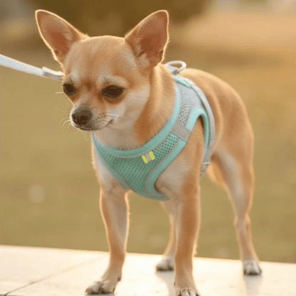 Hondentuig Ademend Hondenharnas – Verstelbaar Tuigje Voor Katten & Honden