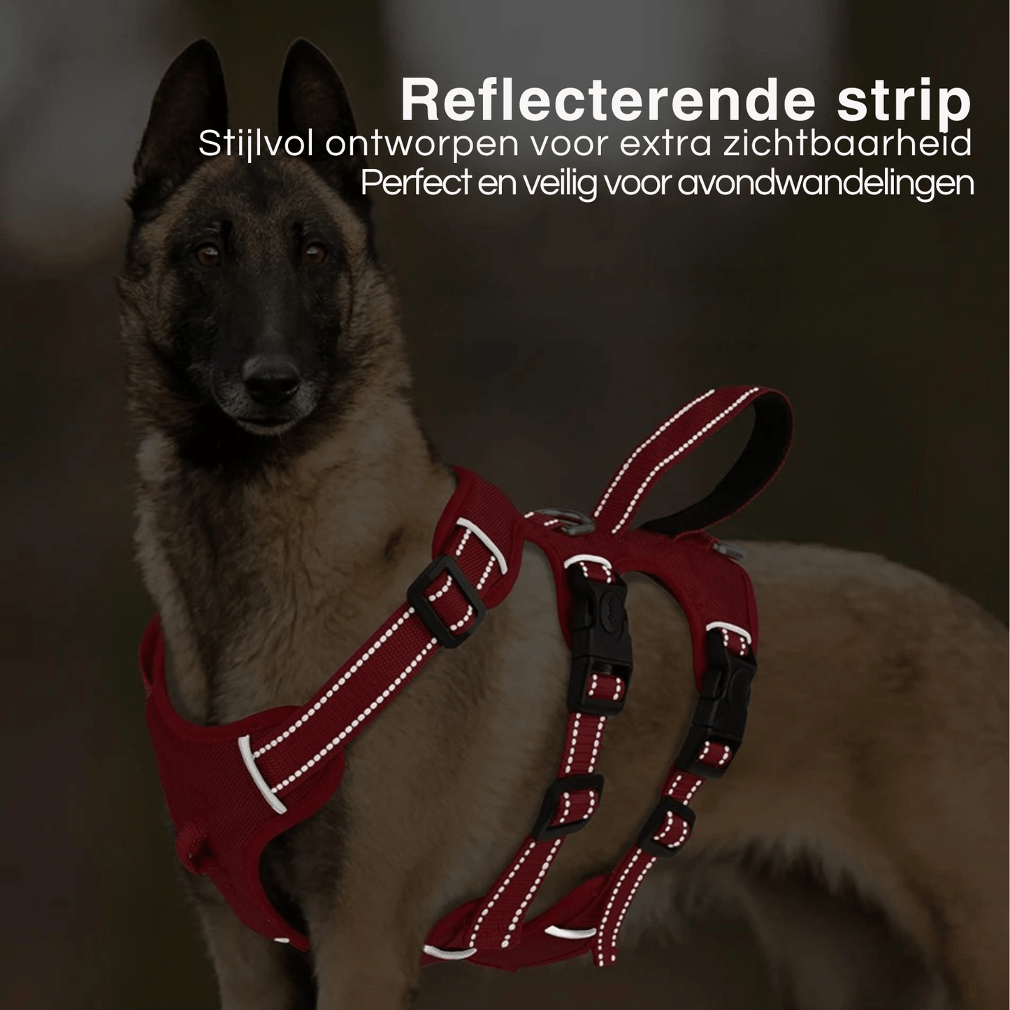 Hondentuig - Extra Stevig