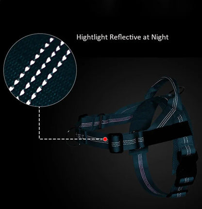 Hondentuig Reflecterend Verstelbaar – Gepersonaliseerd Harnas voor Wandelen
