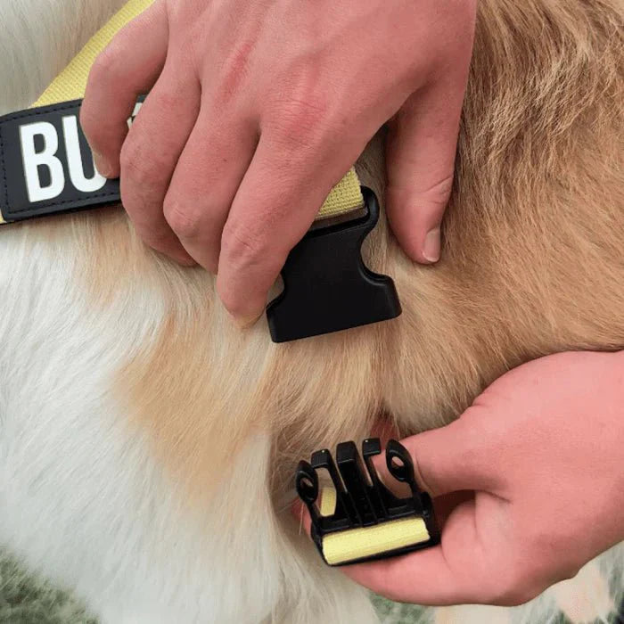 Hondentuig Reflecterend Verstelbaar – Gepersonaliseerd Harnas voor Wandelen