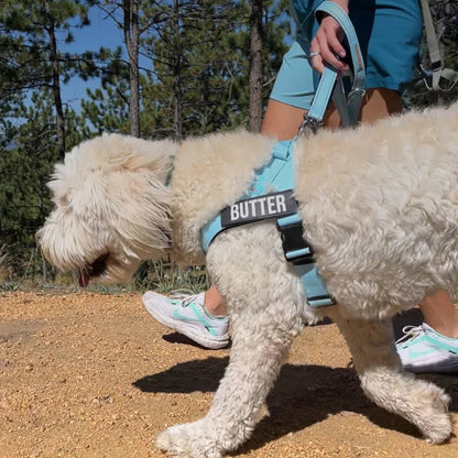 Hondentuig Reflecterend Verstelbaar – Gepersonaliseerd Harnas voor Wandelen