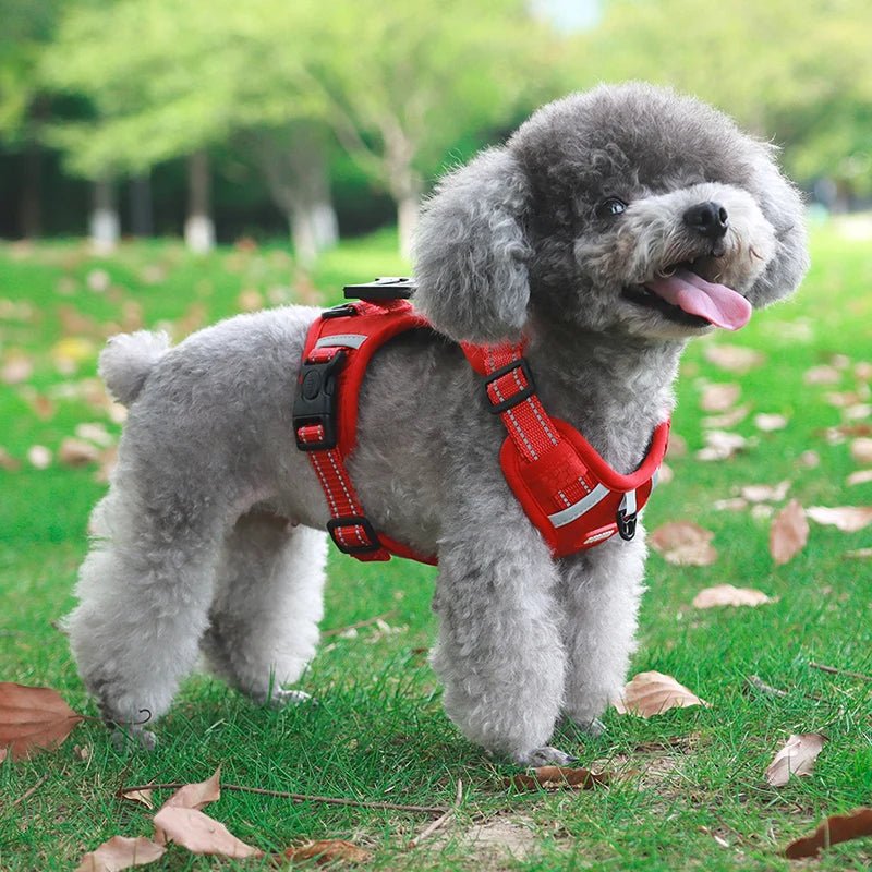 Hondentuig Reflecterend – Verstelbaar Nylon Harnas voor Wandelen
