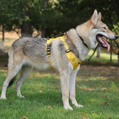 Hondentuig Reflecterend – Verstelbaar Nylon Harnas voor Wandelen