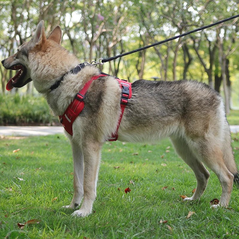 Hondentuig Reflecterend – Verstelbaar Nylon Harnas voor Wandelen