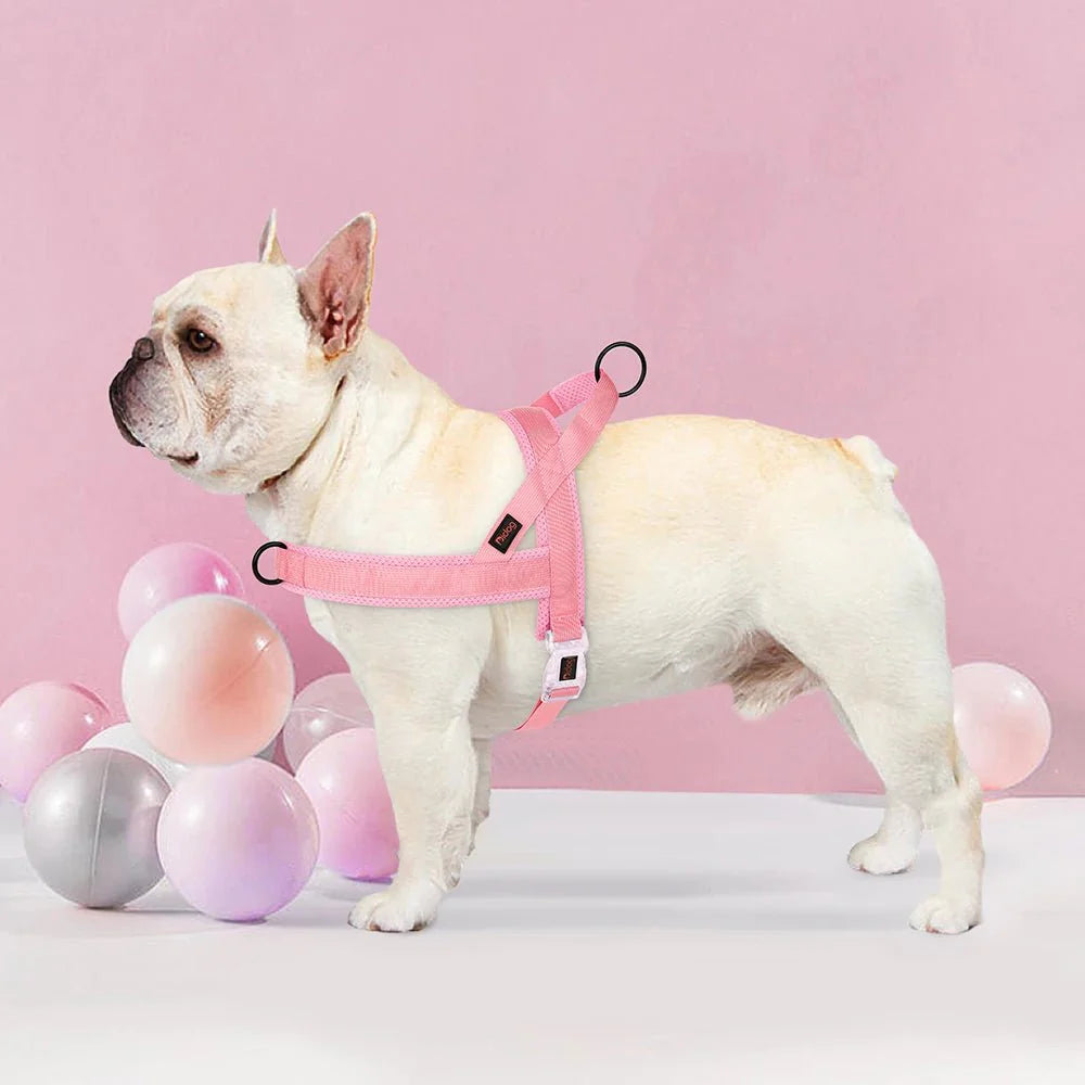 Hondentuig Verstelbaar – Nylon Gewatteerd Comfort - Tuigje voor Wandelen Honden