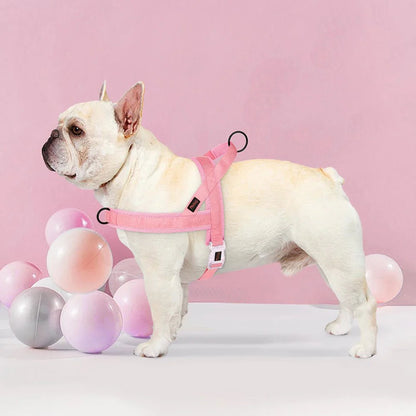 Hondentuig Verstelbaar – Nylon Gewatteerd Comfort - Tuigje voor Wandelen Honden