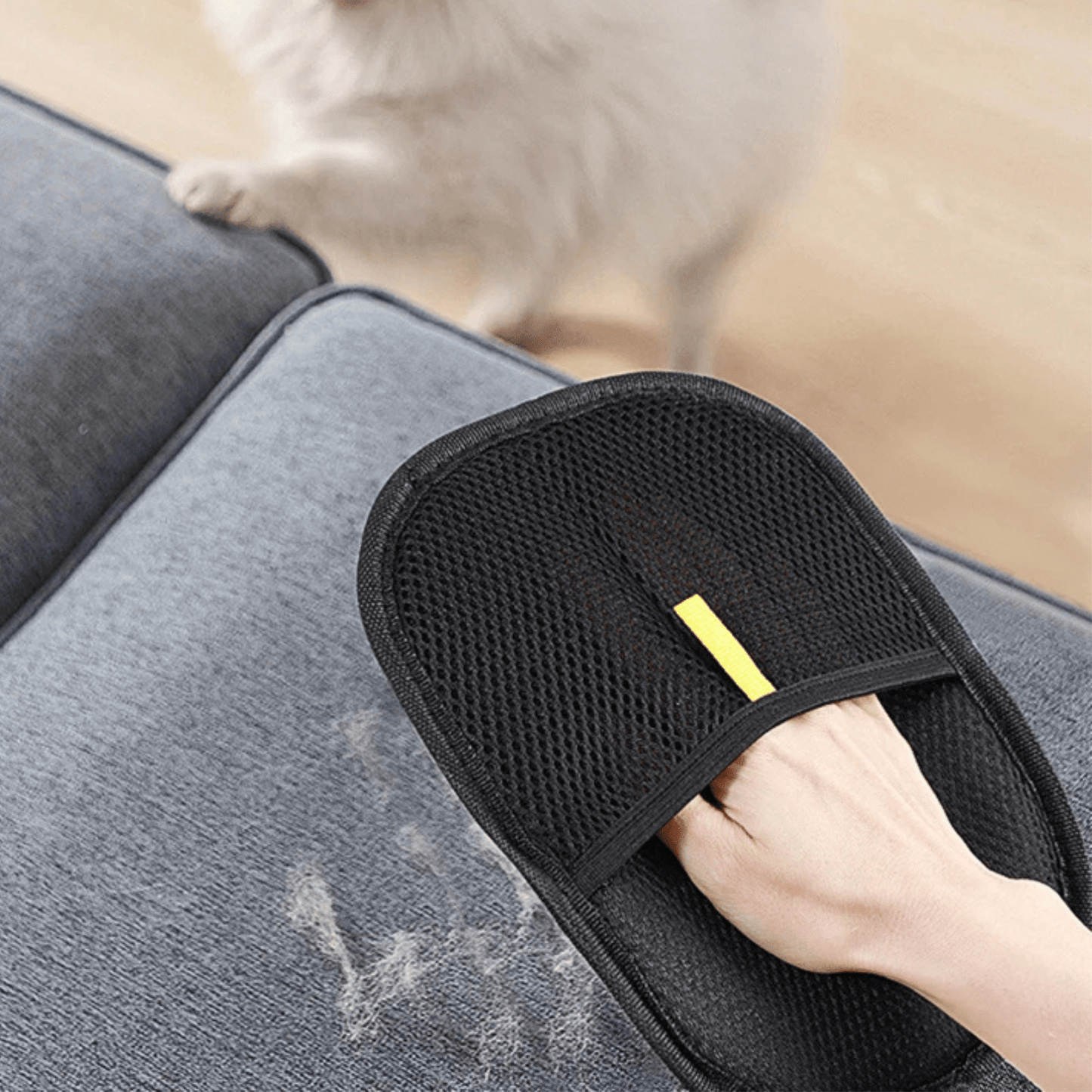 Huisdier Haar verwijder handschoenen