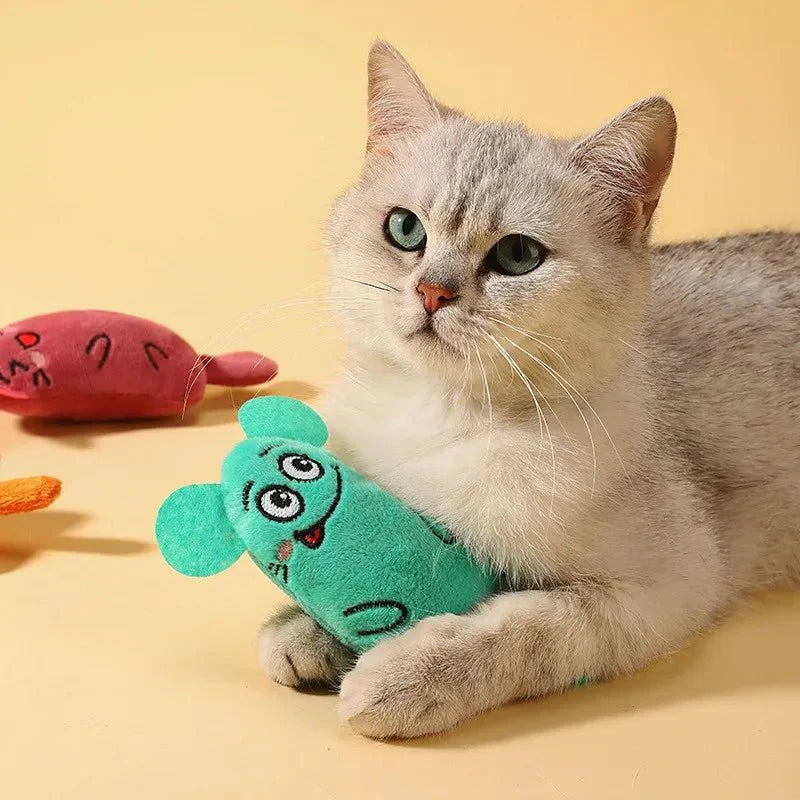 Interactief Kattenkruid Speelgoed Kat – Pluche Kauwspeeltje voor Katten