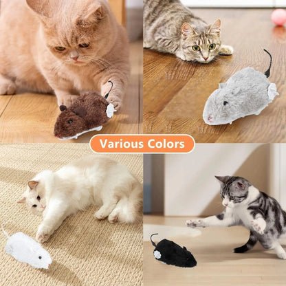 Interactief Muizenspeeltje